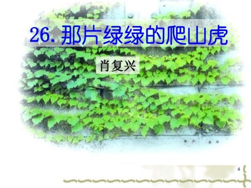 绿色绿色攀登老虎_800字