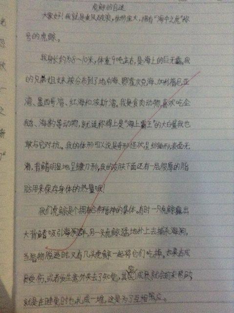 鲸鱼的自我评论_350字