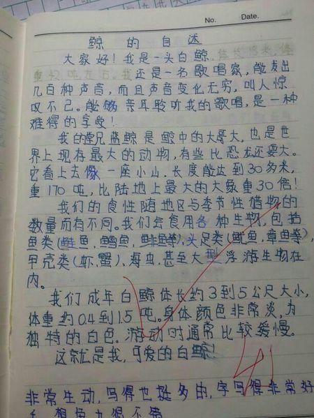 钥匙鲸的自我存在_500字