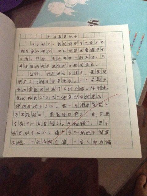 虎鲸的自我存在_450字