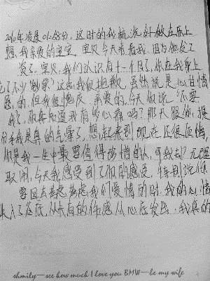 高援助：隐藏在语言书中的故事_700字