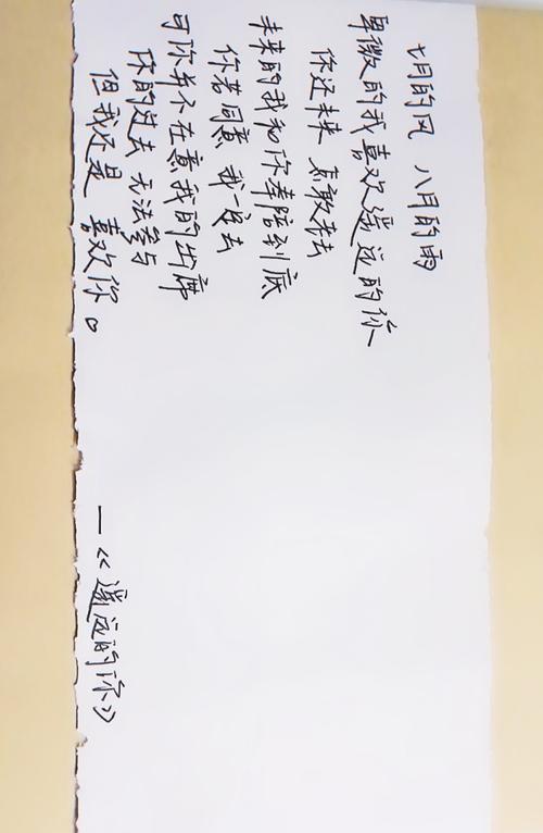 我喜欢风_500字