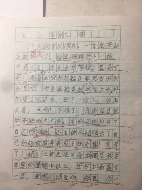 礼物_150字