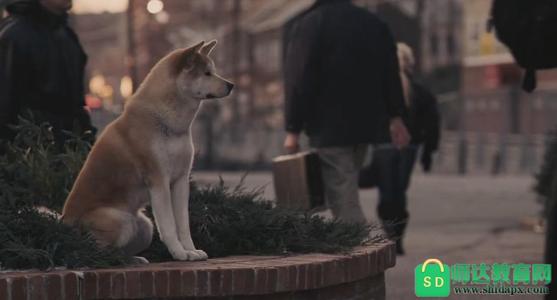 据报道，狗将讨论谁，更不用说人们？因此，人们必须学会向本的报告，并学会爱动物，动物教我们如何治疗事情和如何生活！