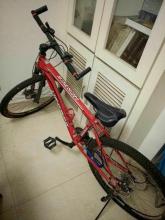 我的新自行车_550字