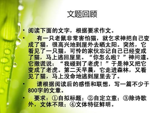 召回，我曾经（1）_400字