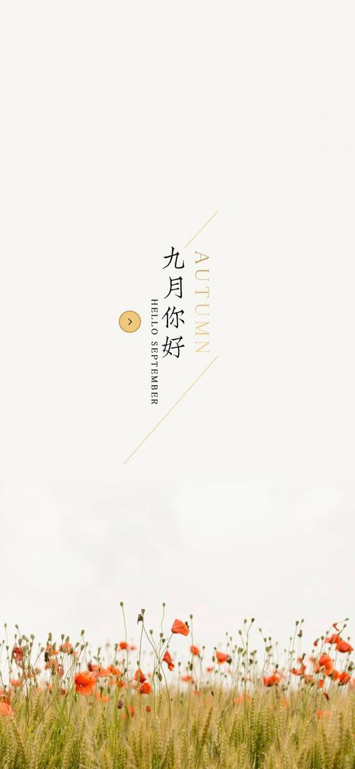 寻找鲜花_350字