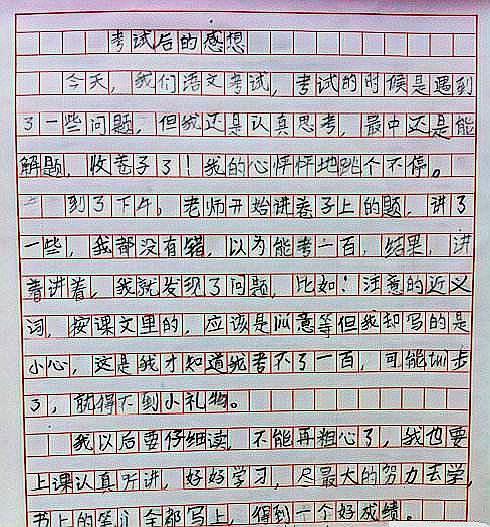 大苹果故事_150字