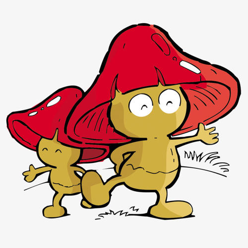 
蘑菇触摸你的头，真的有一个大而美丽的帽子，蘑菇不怕雨。