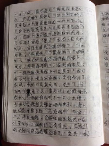 阅读，是... _400字