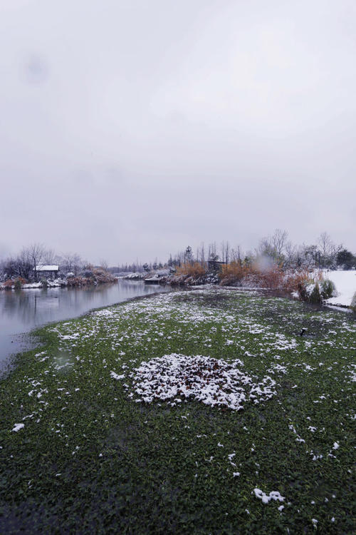 美丽的西溪湿地雪视图_550字