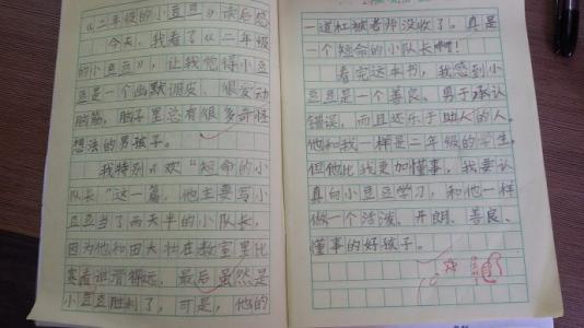 二级中等试验组成：曾经批准_300字