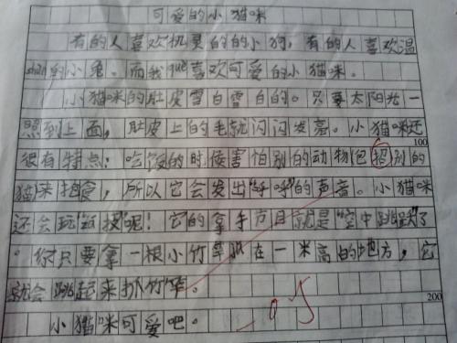 发现美女_300字