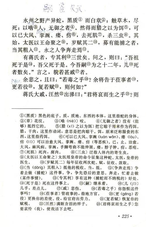 小讨论“捕捉蛇”_750字