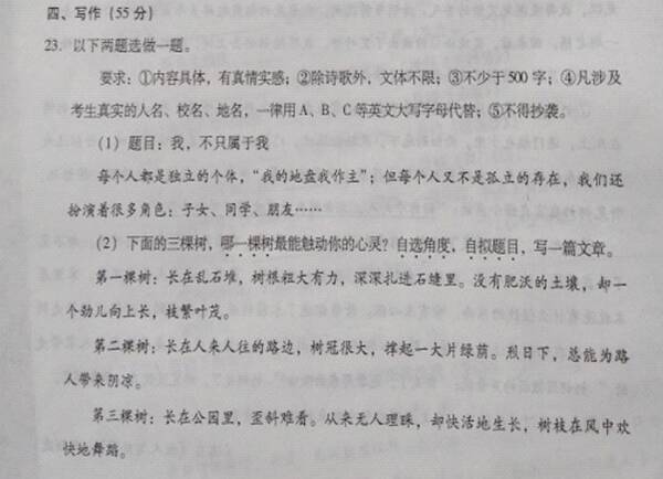 2006年，考试充满了作文：告别 - 一种胆囊_900字