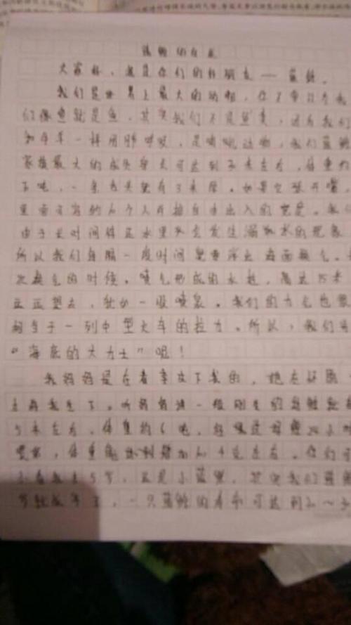 一个人的自述文件_500字