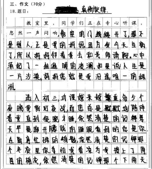 2006年，考试充满了作文：挫折，美丽_1200字