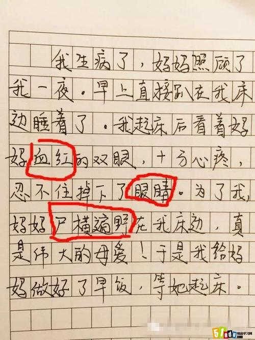 毕业于小学_600字