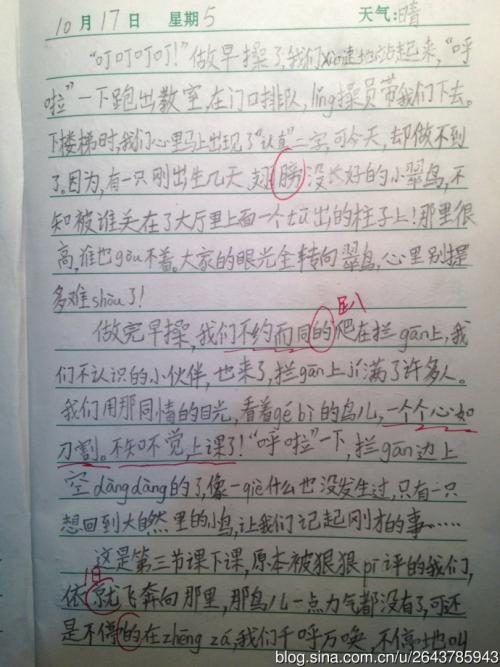 校园看朋友_400字