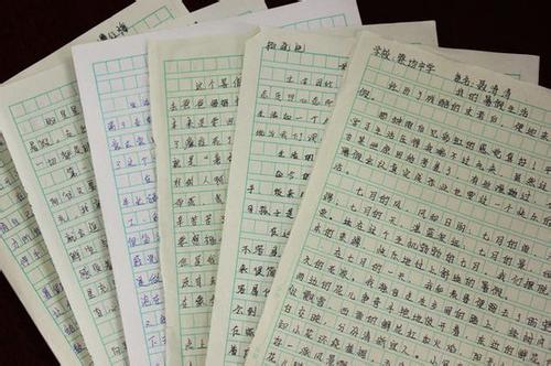 2008年，上海的两个高中入学考试“三”我有我的眼睛的颜色“_1000字
