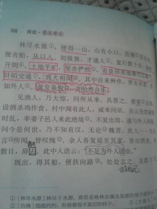 我的Medium考试_750字