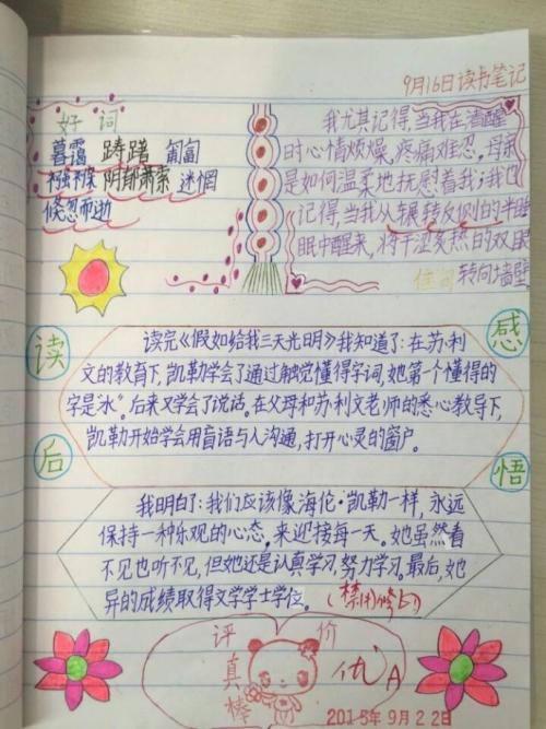 这本书和我在一起5号_250字