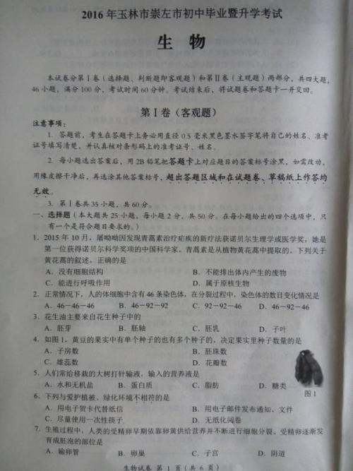 2010年榆林在入学考试中