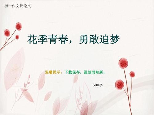 追逐梦想季节_600字