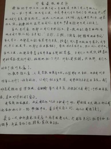 一个老师_800字