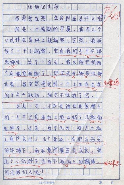 写文字：秋雨_550字