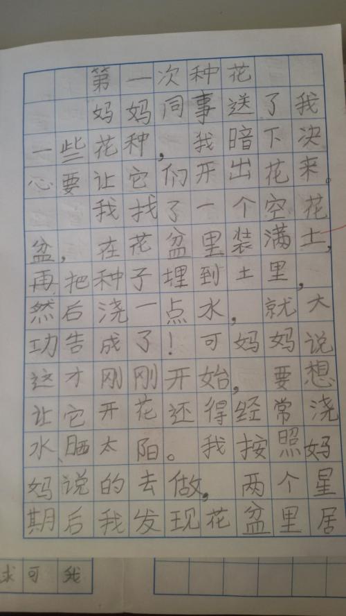 [PK Tour]关于令人难忘的作文：冬季爱情_450字