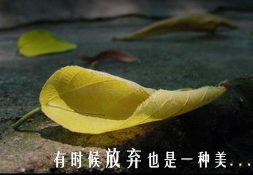 放弃是一个开始_750字