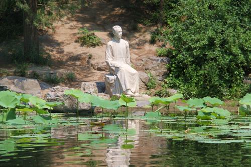 写作作文：莲花月亮，朱子清_1200字