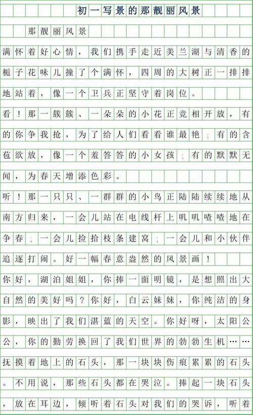 写作组成：09新年，希尔_750字