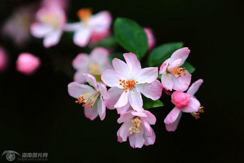 Spring _450字