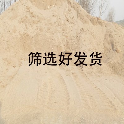 沙子，沙子，沙子_550字