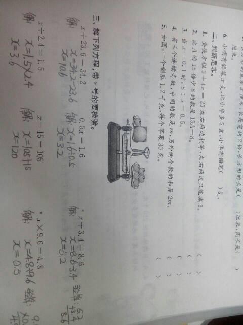 单位成分：学校花床_450字