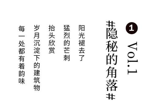 [中国新年的论文]交响乐在新的一年_650字