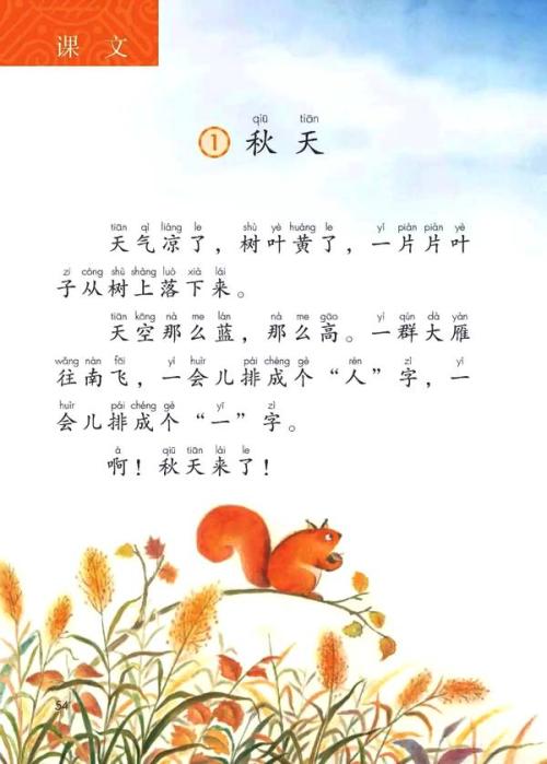 这本书的四季_1200字