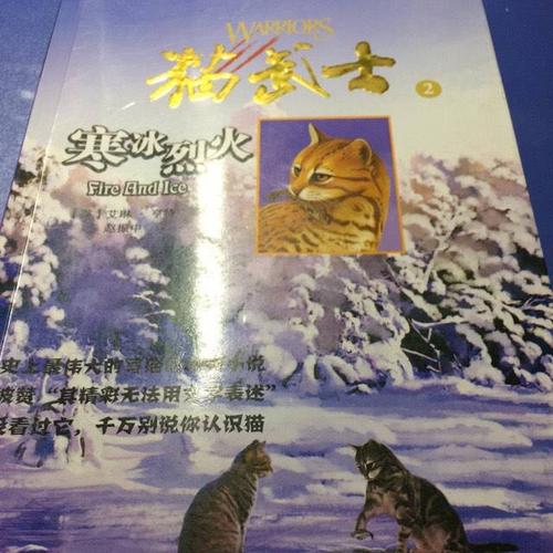 “猫武士”星光_350字
