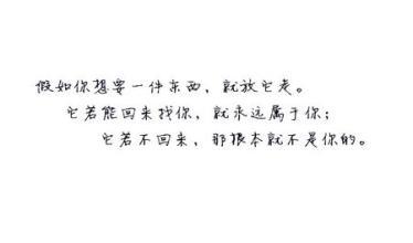 我从来没有像这个_750字