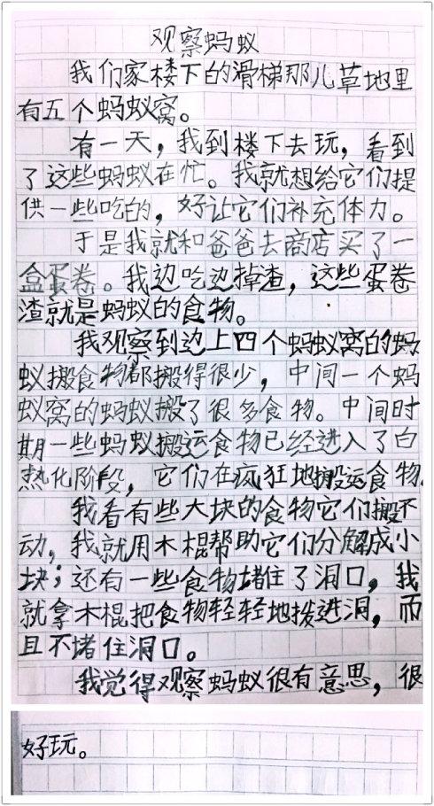 观察组成：观察ANT _650字