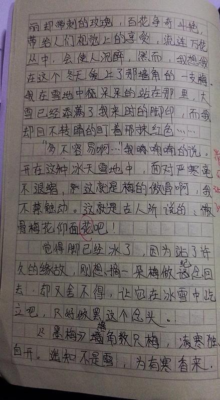 最后三个小时_800字