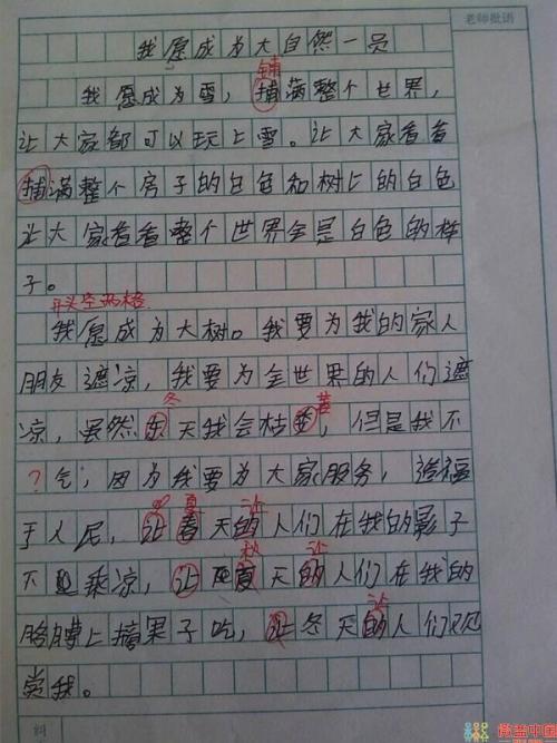 我在初中_400字