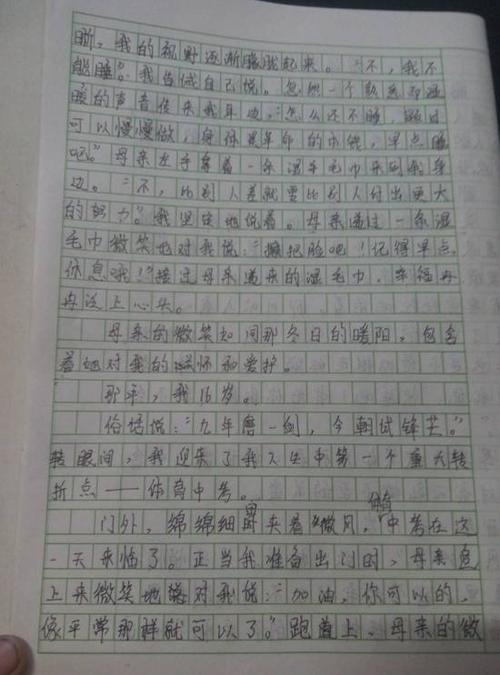 分形魅力_600字