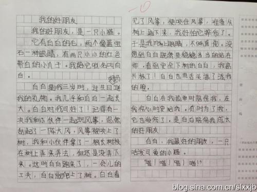 谁在照顾我？_200字