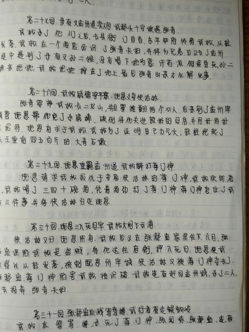 [2012年夏季论文]阅读后暑假 - 阅读“水浒传”_1000字