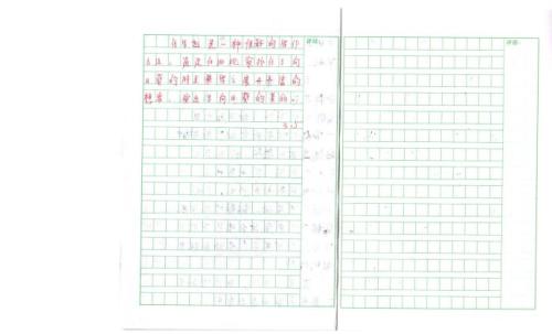 六年级组成：向日葵_500字