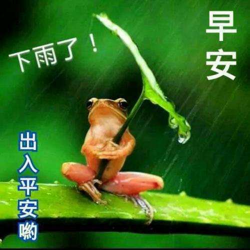 雨幸福_150字