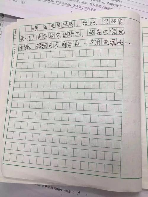 我对母亲的爱_200字